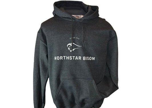 Northstar Heavy Hoodie
