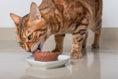 Load image into Gallery viewer, Bison Feast Canned Cat Food