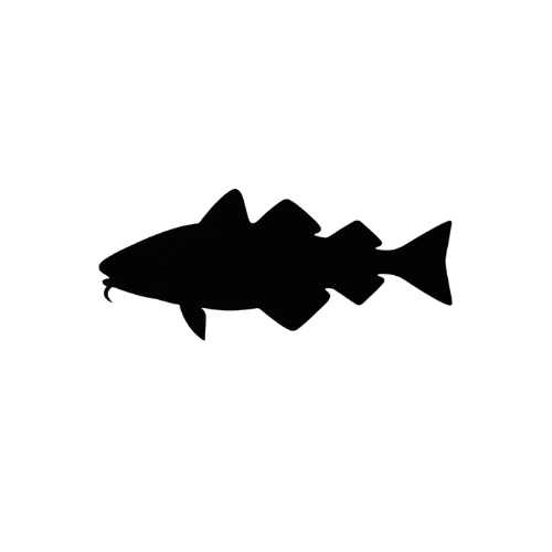 Wild Alaskan True Cod Loins