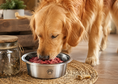 Load image into Gallery viewer, Beef Pet Blend Raw