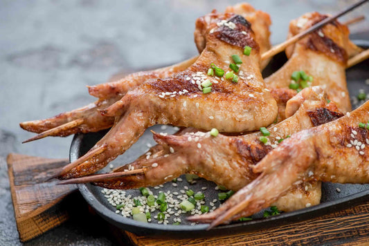 low histamine wings 100% soy and corn free turkey meat No antibiotics no added hormones clean meat low histamine meat