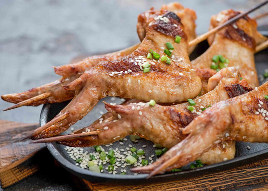 low histamine wings 100% soy and corn free turkey meat No antibiotics no added hormones clean meat low histamine meat