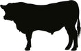 Load image into Gallery viewer, Beef Brisket | Wholesale