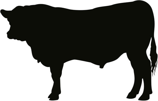 Beef Brisket | Wholesale