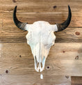 Load image into Gallery viewer, Bison Skull