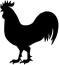 Load image into Gallery viewer, Chicken Carcass | Wholesale