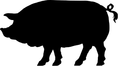 Load image into Gallery viewer, Pork Stew Meat | Wholesale