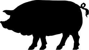 Pork Stew Meat | Wholesale