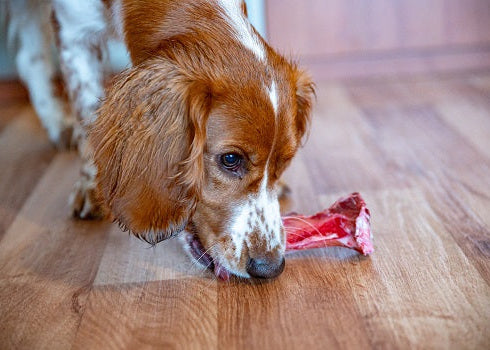 northstar bison elk meat 100% Rocky mountain Elk non gmo meat clean meat for my pet healthy living