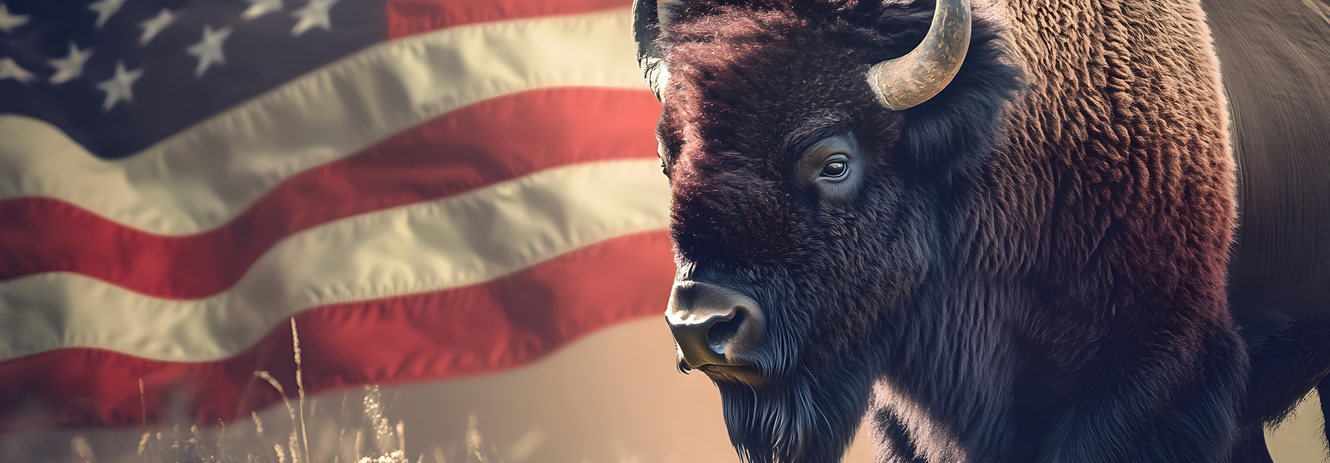 4th of July Flash Sale