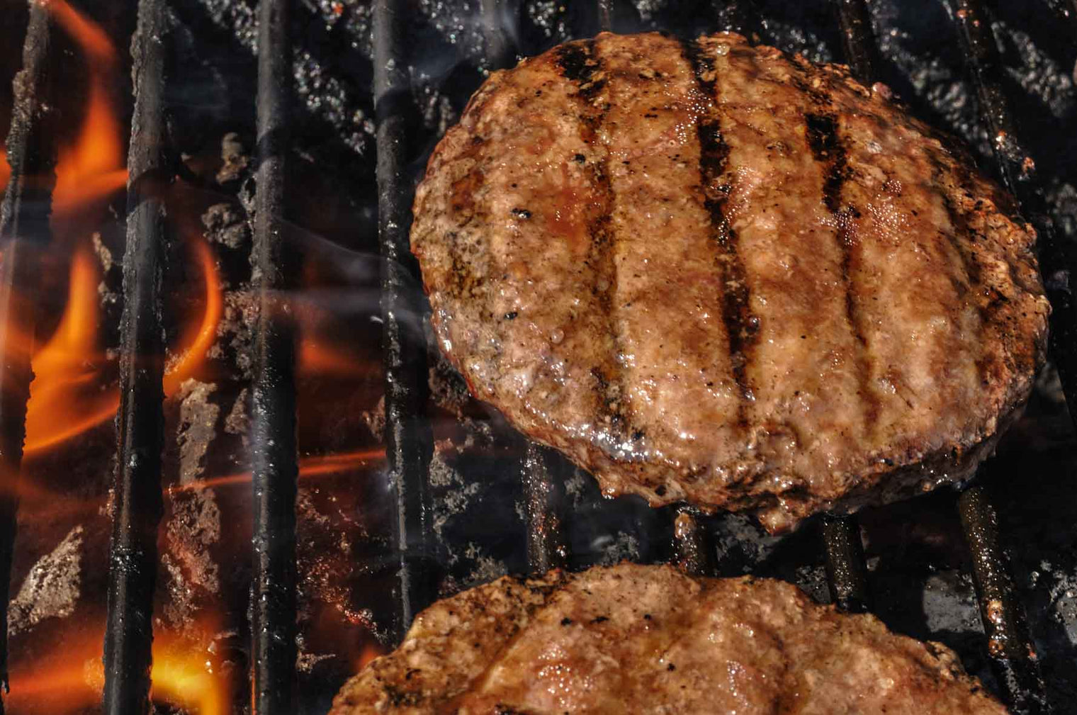 Rocky Mountain Elk Patties | Humanely Harvested