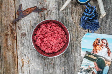 Raw Rabbit Pet Food whole organs bones grass fed clean nourishing feed dog cat non-GMO veterinarian Northstar bison approved digest gut health healing puppy adult cancer 