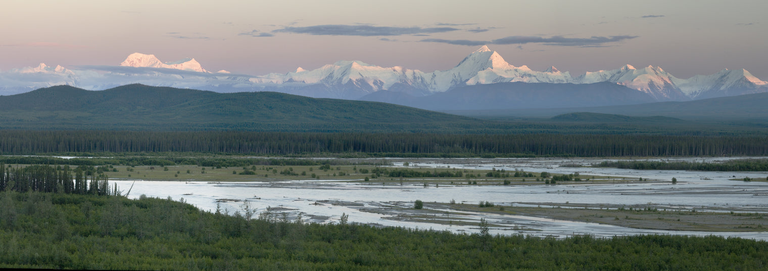 Alaskan Wild Fish