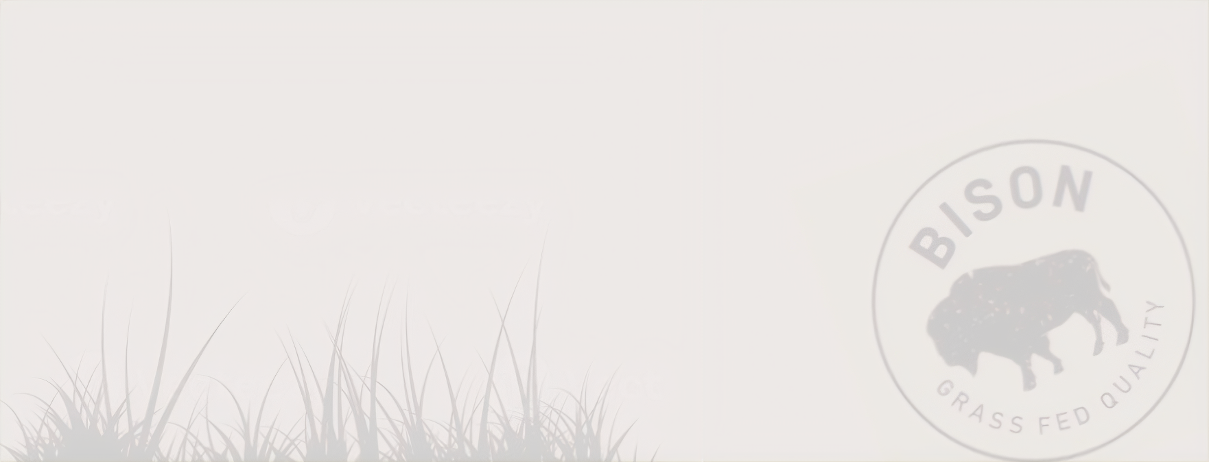 Low Histamine - Bison