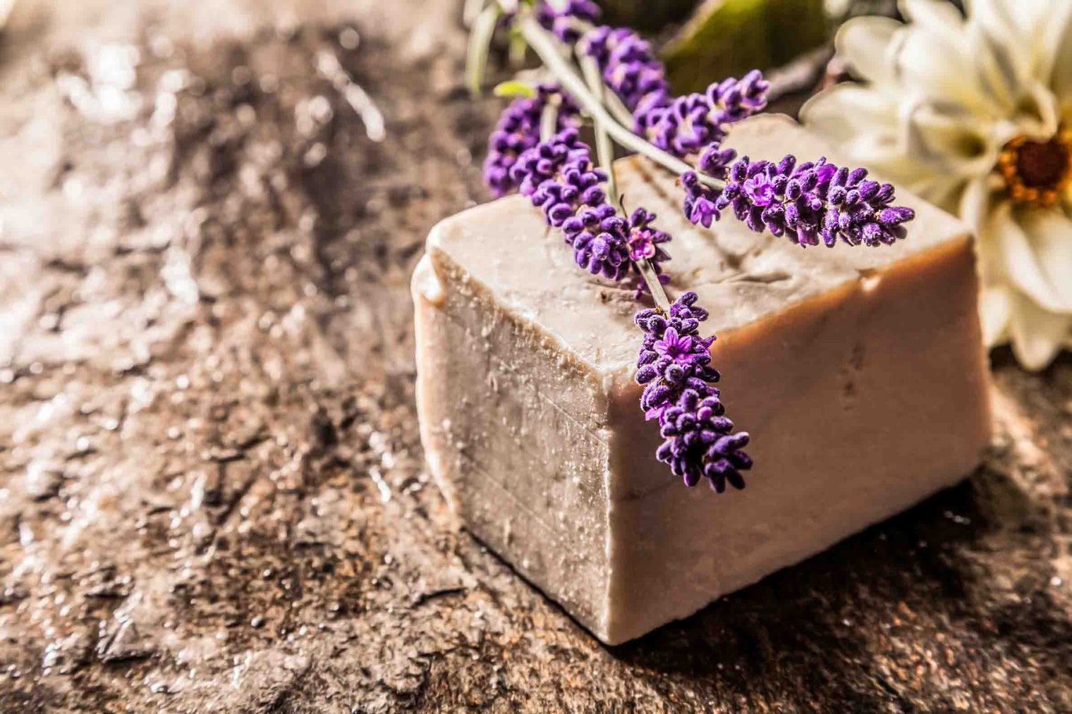 Soaps & Lip Balm Subscriptions