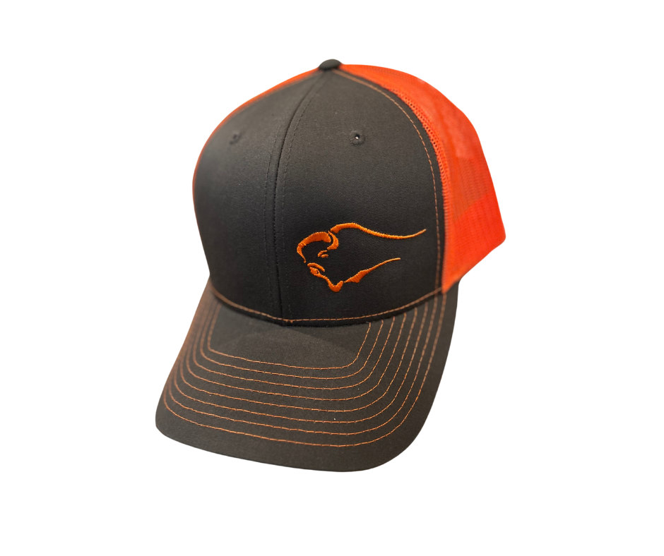 Ball Cap - NSB Swoosh