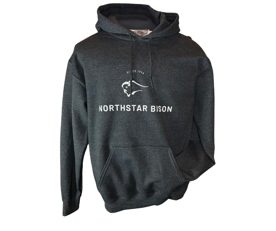 Northstar Heavy Hoodie