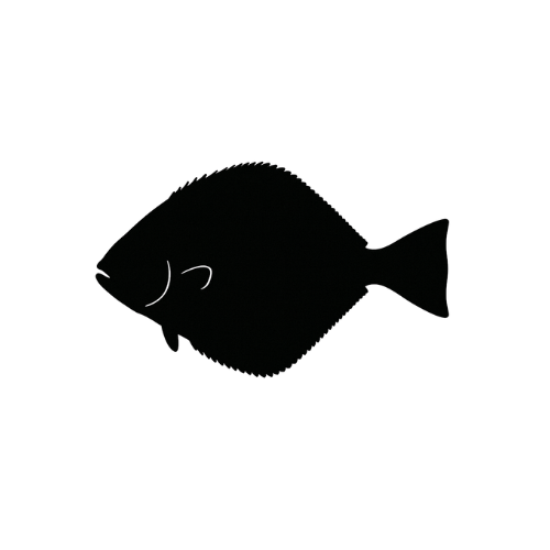 Wild Alaskan Halibut