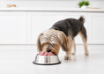 Load image into Gallery viewer, Turkey Pet Blend Raw
