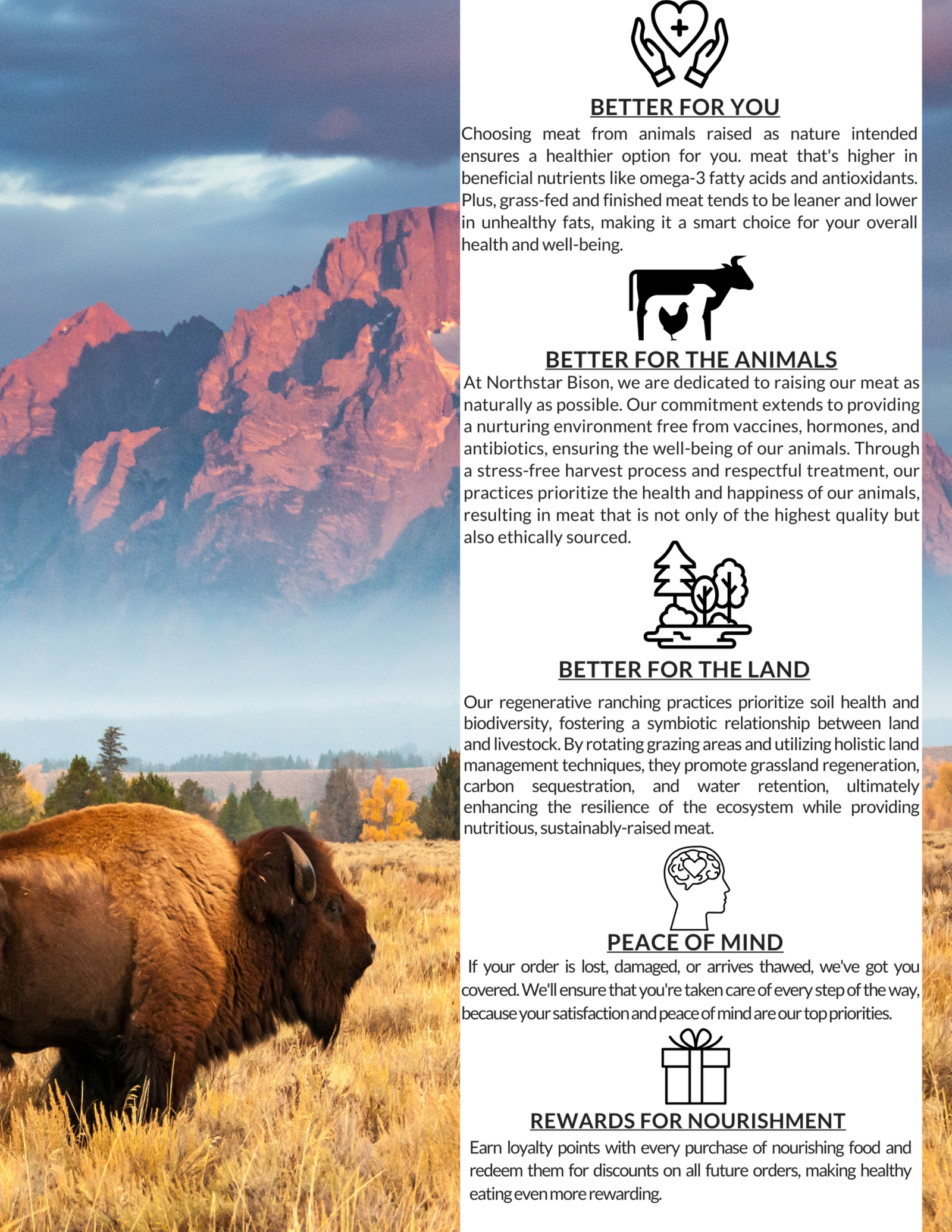 Best Practices for Soil Rejuvenation After Harvest: Expert Tips