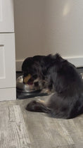 Load and play video in Gallery viewer, Bison Pet Blend Raw
