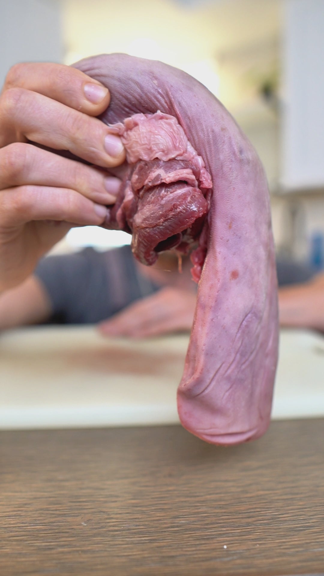 youtube northstar bison elk meat 100% Rocky mountain Elk non gmo meat clean meat healthy living 