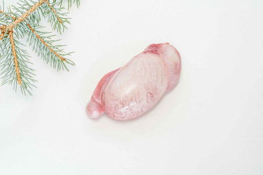 northstar bison bison meat organ health healthy living rogan meat grassfed meat low histamine 