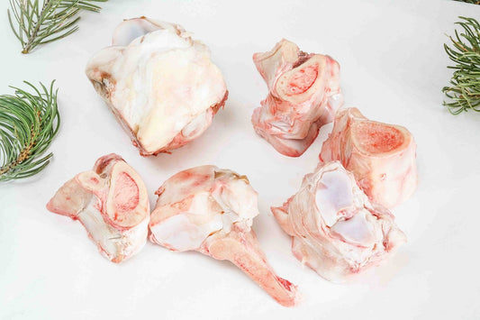 northstar bison north star bison bison bones 