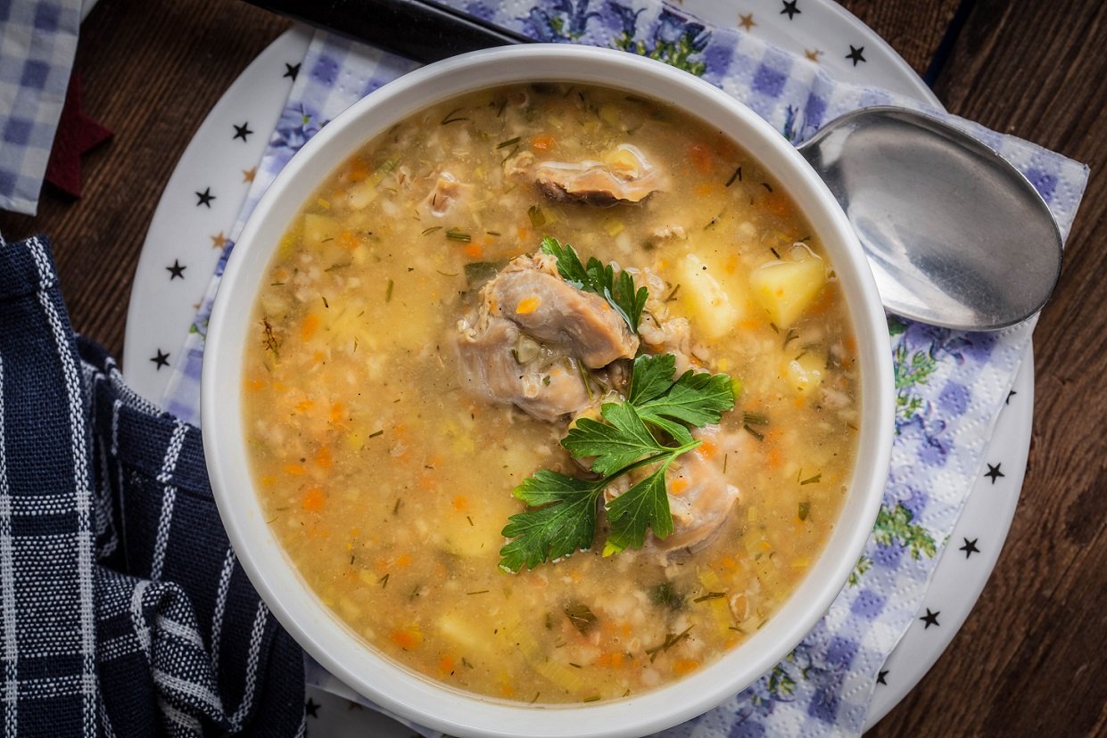 chicken gizzards northstar bison north star bison chicken corn and soy free non gmo chicken organically raised 