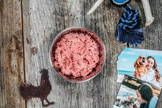 Chicken Champ Pet Bundle