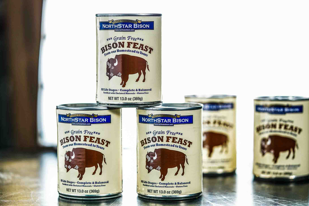 Bison Feast Canned Dog Food