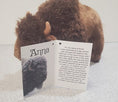 Load image into Gallery viewer, Bison Stuffy
