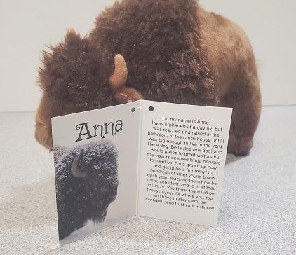 Bison Stuffy