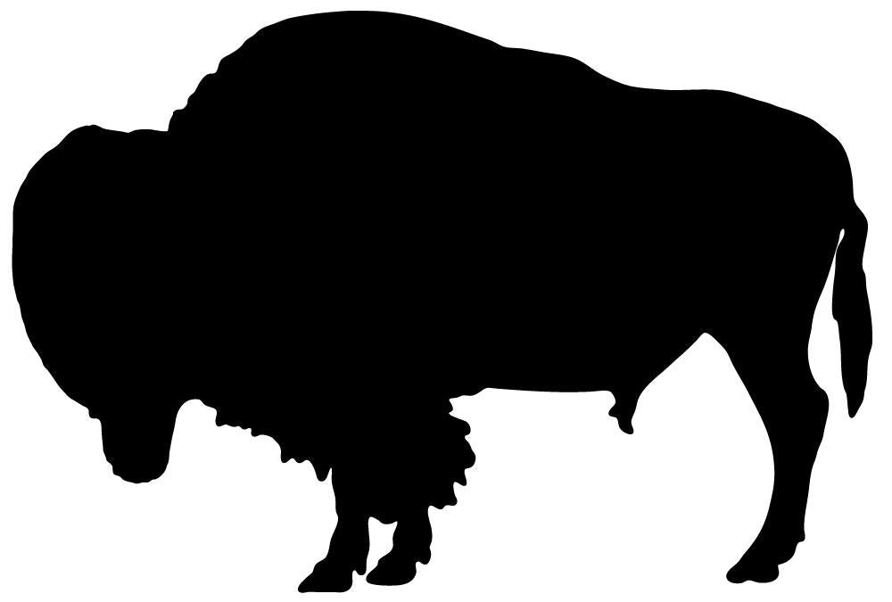 Bison Whole