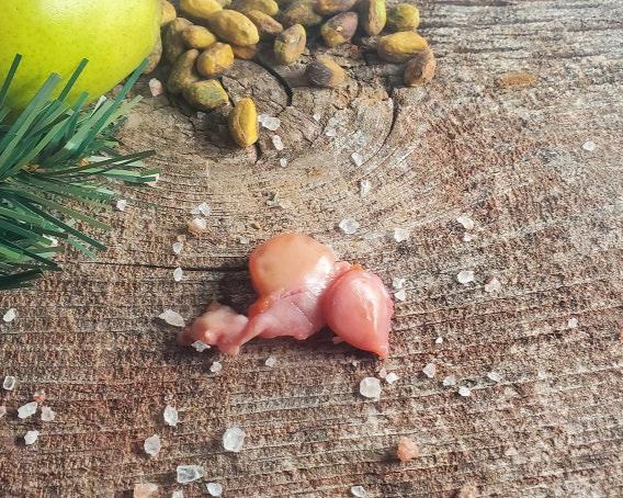 northstar bison bison meat organ health women's health healthy living grassfed meat low histamine 