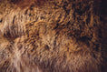 Load image into Gallery viewer, Elk Hide
