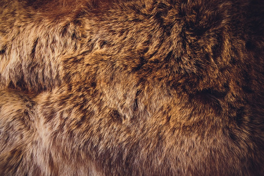 Elk Hide