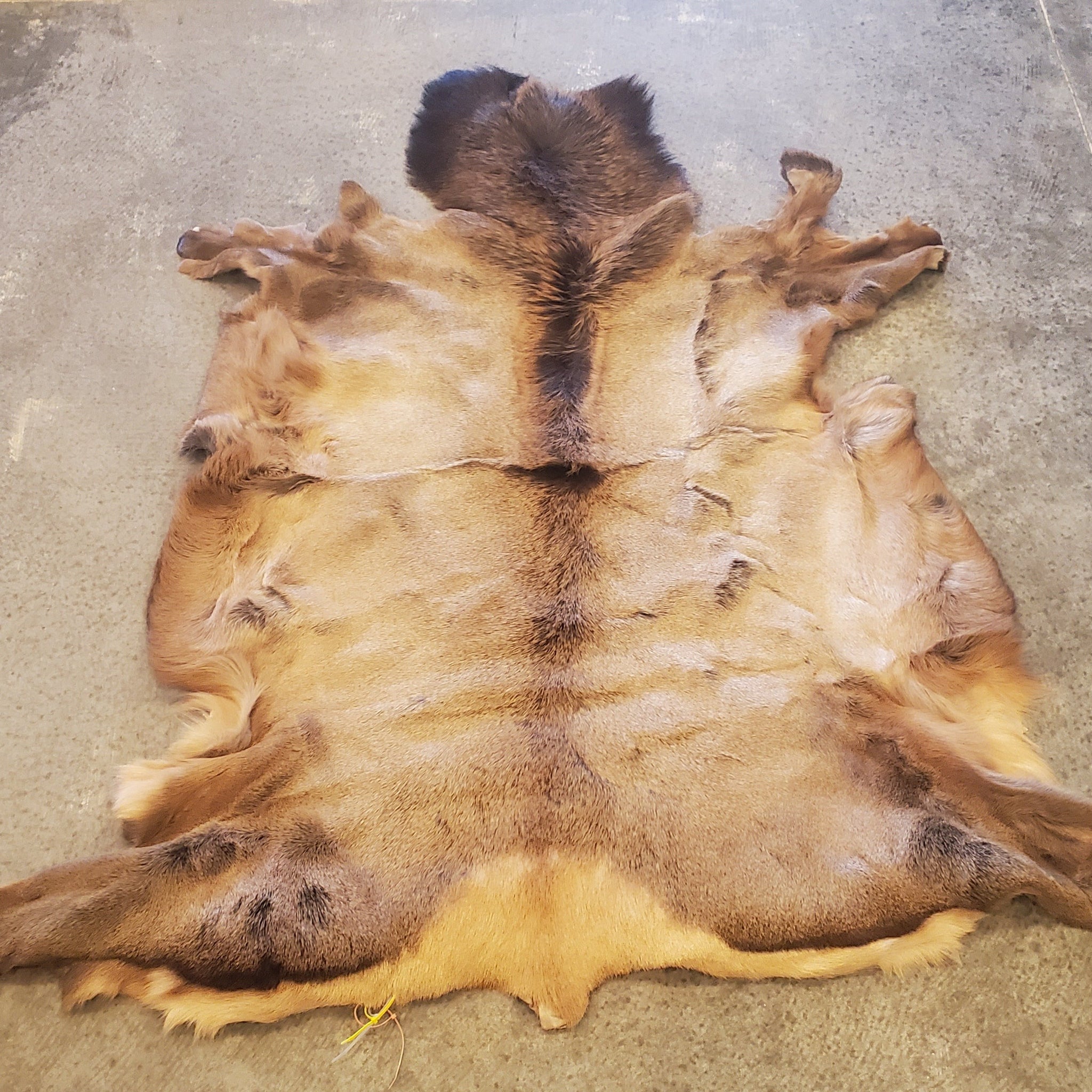 Hide Meat Elk Hide - Northstar Bison