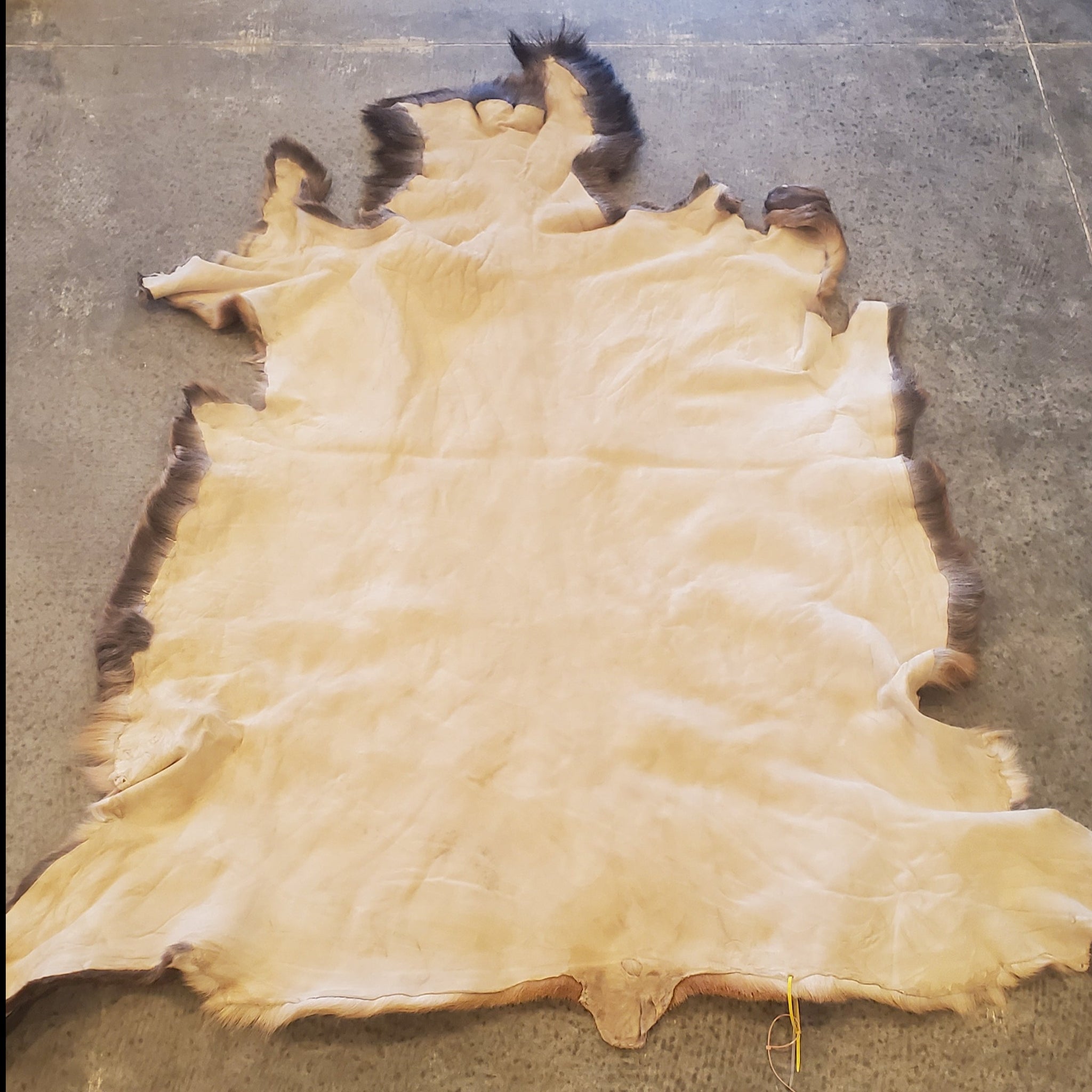 Hide Meat Elk Hide - Northstar Bison