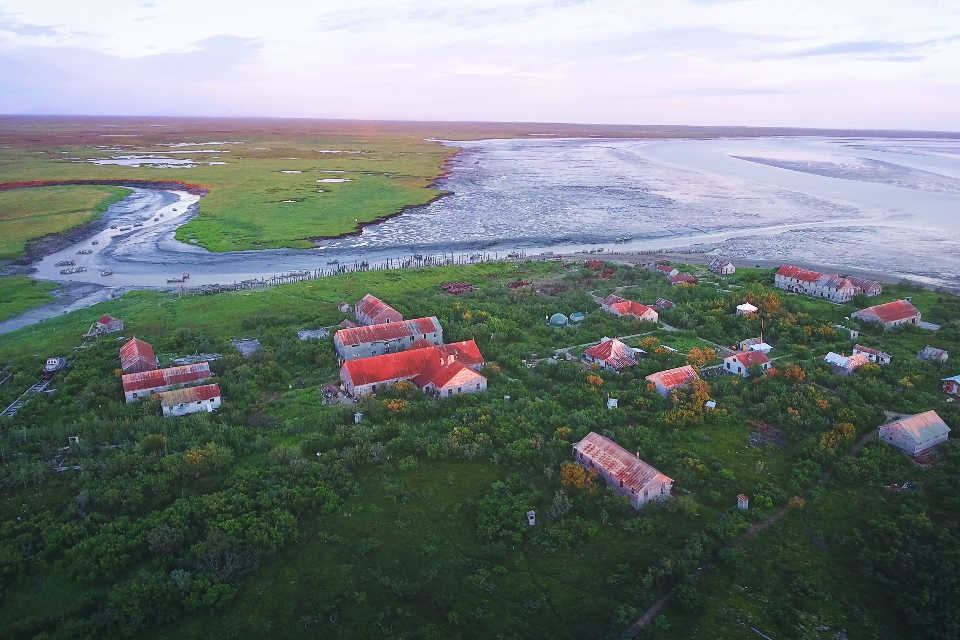 Smoked Wild Alaskan Salmon