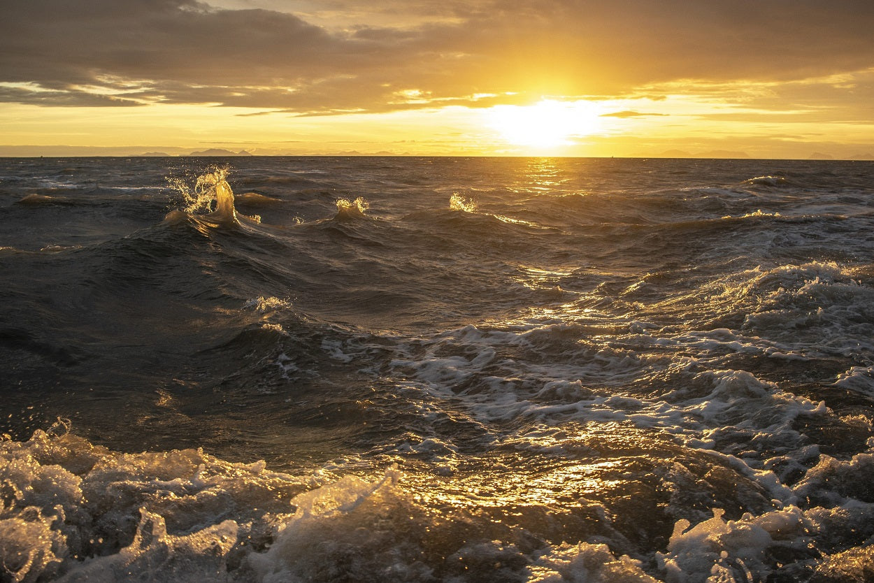 Smoked Wild Alaskan Salmon