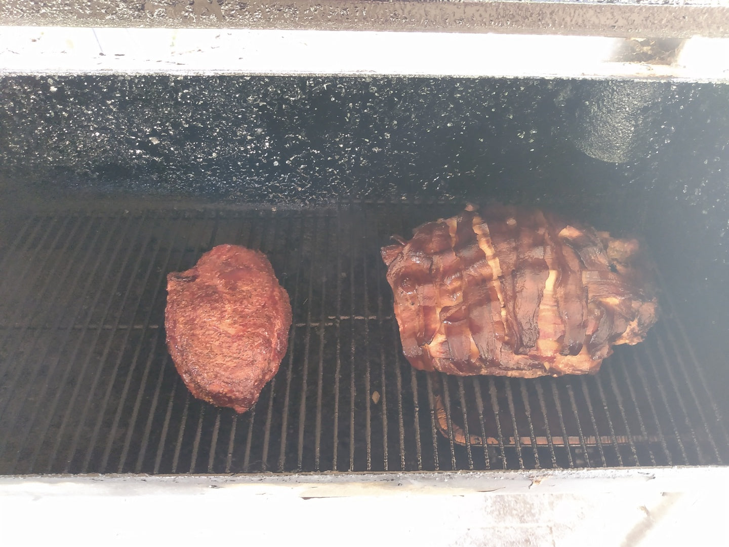 Bison Brisket Northstar Bison