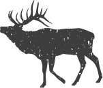 Elk